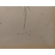 Lithographie "Au bois" signée VERTES