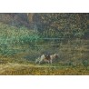 Aquarelle "Le chasseur" signé C. TROYON