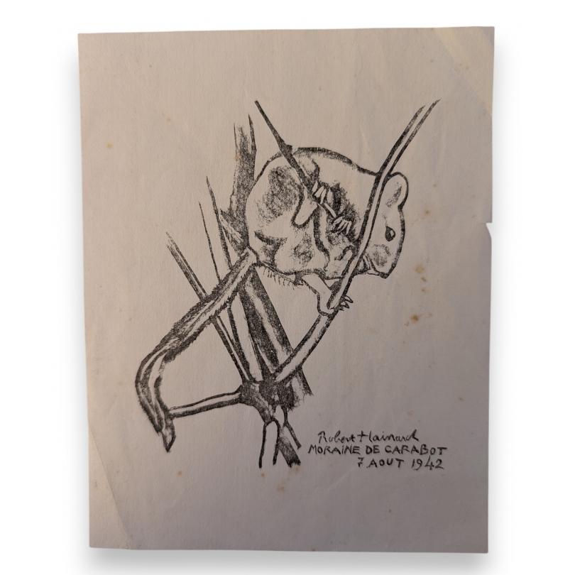 Gravure "Muscardin" de Robert HAINARD