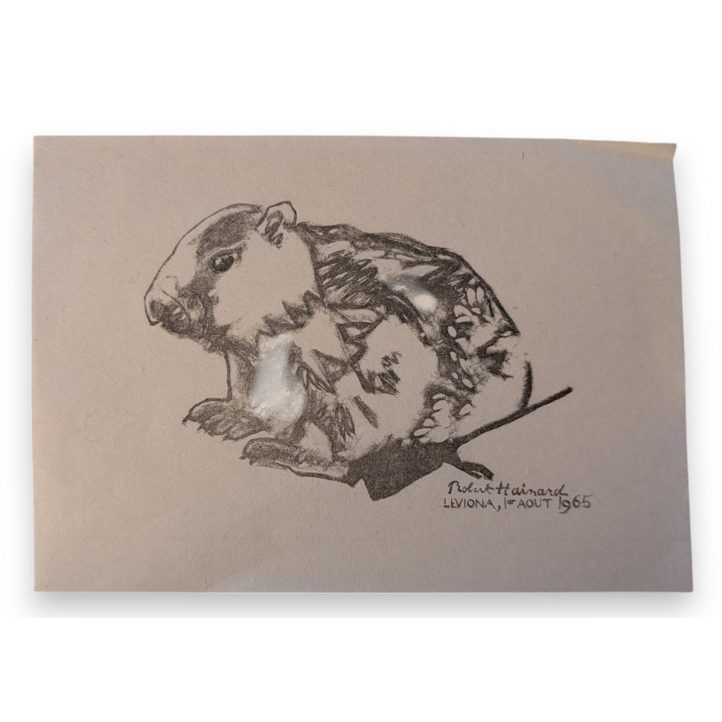 Gravure "Petite marmotte" de Robert HAINARD
