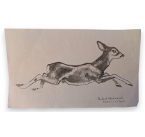 Gravure "Jeune chevreuil" de Robert HAINARD