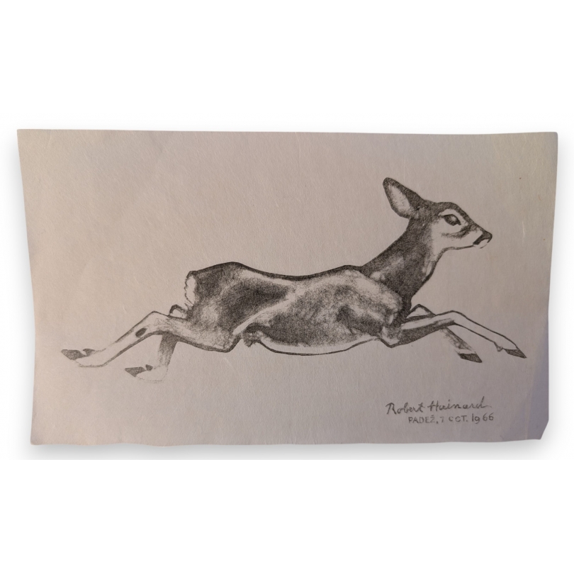 Gravure "Jeune chevreuil" de Robert HAINARD