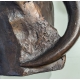 Bronze "Loutre posée" signé GICÉ 96
