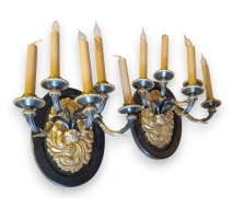 Paire d'appliques en bronze doré et noirci
