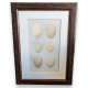 Gravure "6 oeufs"