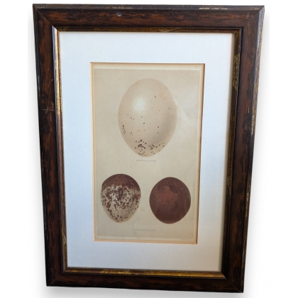 Gravure "3 oeufs"