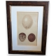 Gravure "3 oeufs"