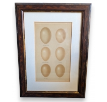 Gravure "6 oeufs"