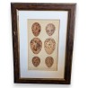 Engraving ‘6 eggs’
