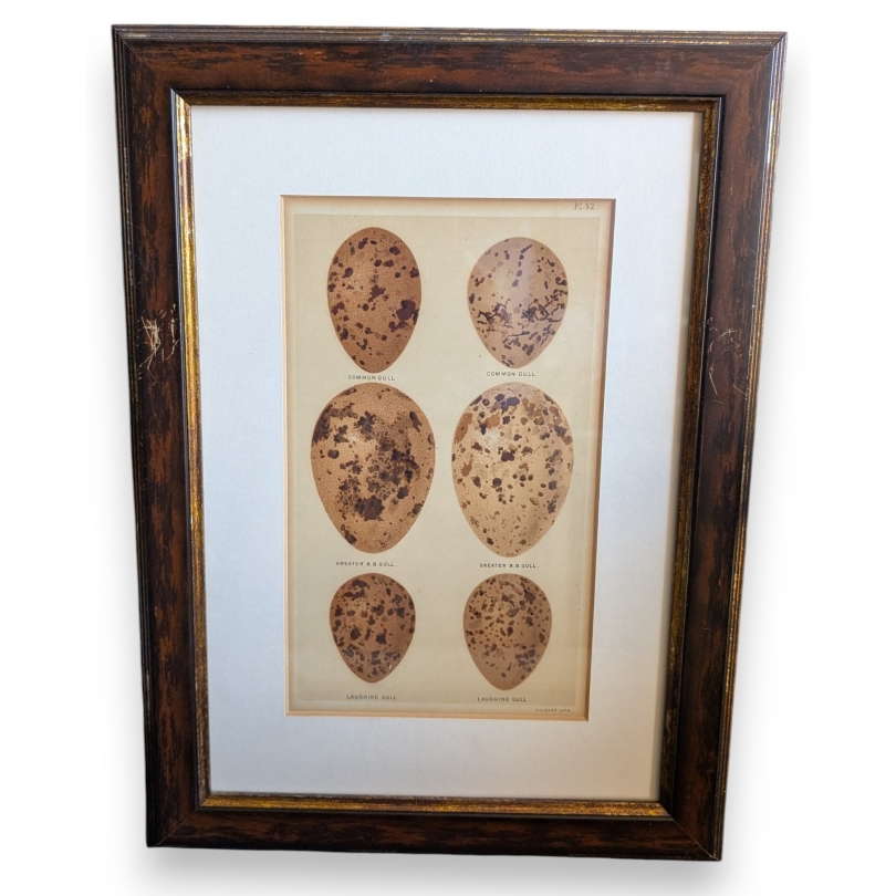 Gravure "6 oeufs"