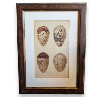 Gravure "4 oeufs"