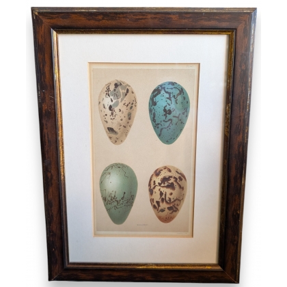 "4 Eggs" engraving