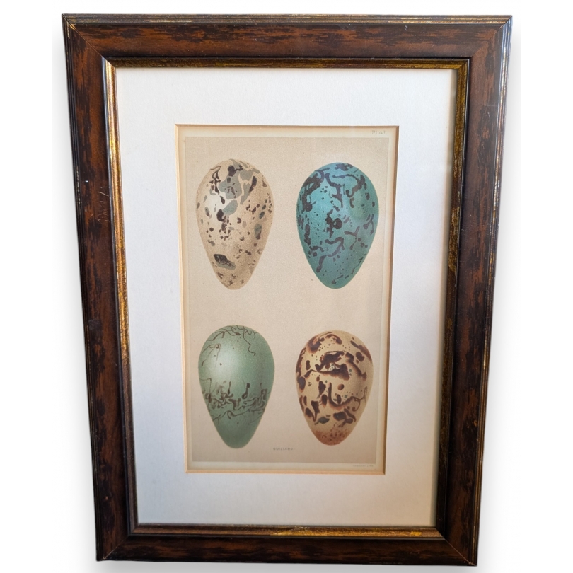 Gravure "4 oeufs"