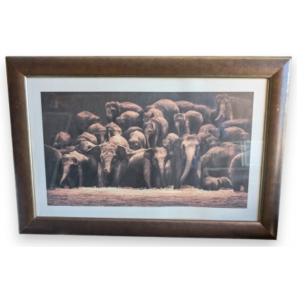 Framed print of "Herd of Elephants" by COLBERT
