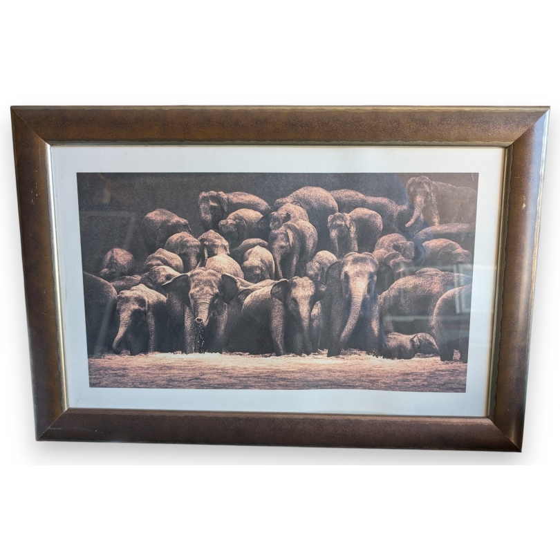 Framed print of "Herd of Elephants" by COLBERT