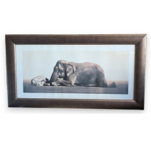 Tirage encadré "Enfant et éléphant" de COLBERT