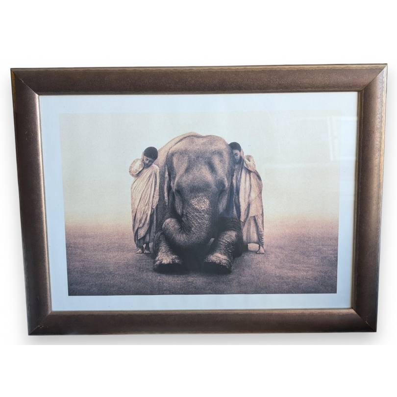 Tirage encadré "Enfants et éléphant" de COLBERT