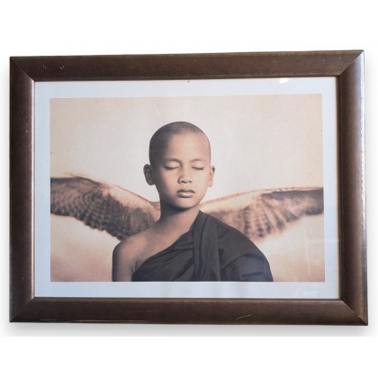Framed print of "Child and Falcon" by COLBERT