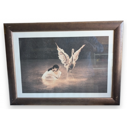 Framed print of "Girl and Crane" by COLBERT