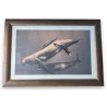 Framed print of "Man and Sperm Whales" by COLBERT