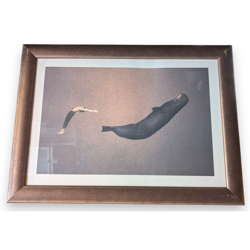 Framed print of "Man and Sperm Whale" by COLBERT