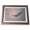 Framed print of "Man and Sperm Whale" by COLBERT
