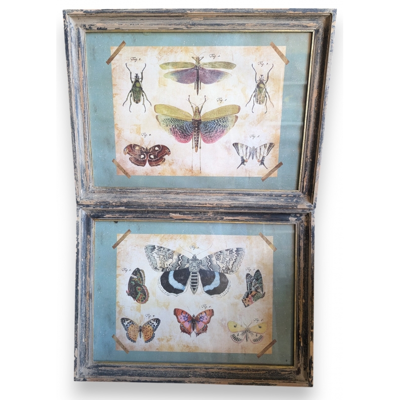 Paire de tirages de gravures "Papillons"