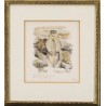 Lithograph entitled ‘Marmotte’, signed COSANDEY