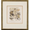 Lithographie "Marmotte" signée COSANDEY