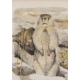 Lithographie "Marmotte" signée COSANDEY