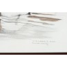 Aquarelle "Fuligule milouin" signée COSANDEY