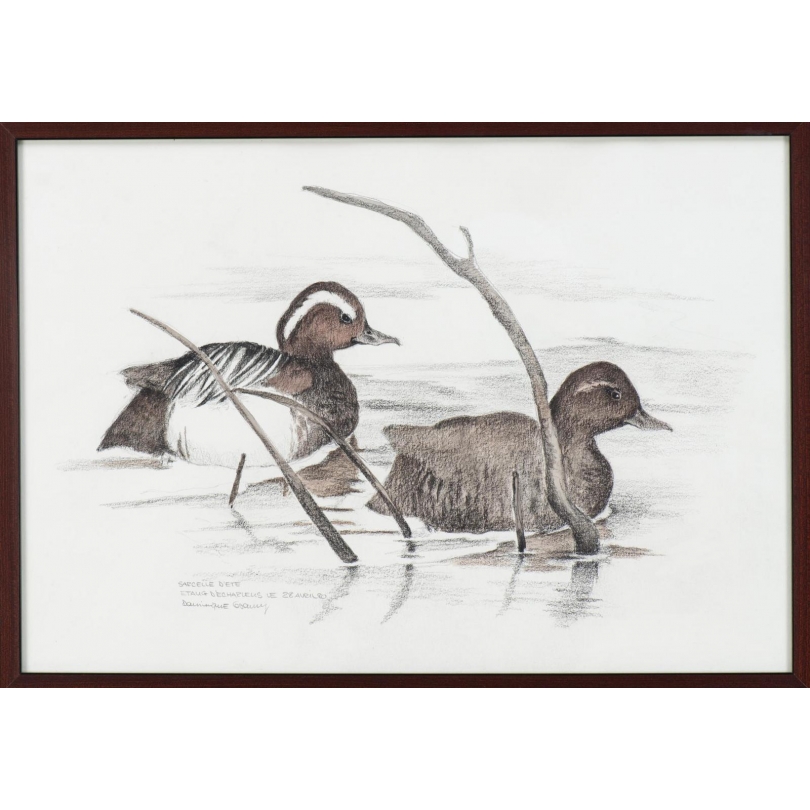 Aquarelle "Sarcelle d'été" signée COSANDEY