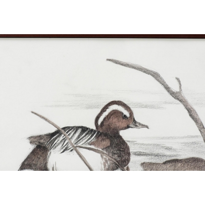 Aquarelle "Sarcelle d'été" signée COSANDEY