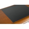 Trocadero desk in stainless steel and black leather