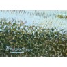 Tableau \"Eglise sous la neige\" signé BOUQUET 75