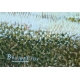 Tableau "Eglise sous la neige" signé BOUQUET 75