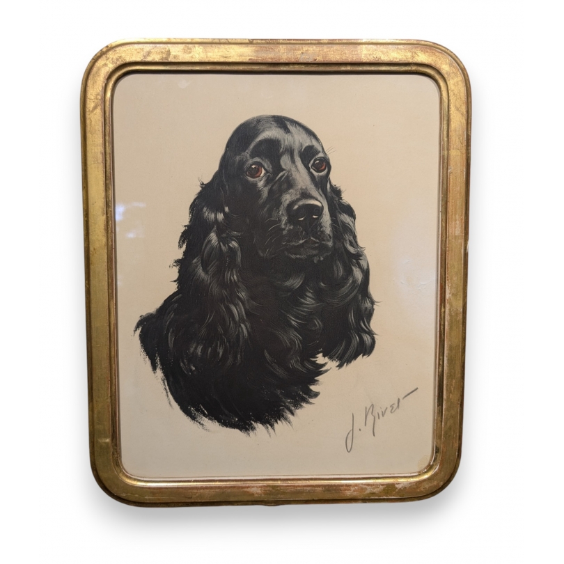 Gravure "Chien" par RIVET