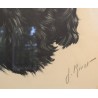 Gravure "Chien" par RIVET