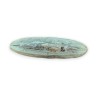 Fossile de Rhacolepis buccalis