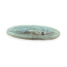 Fossile de Rhacolepis buccalis