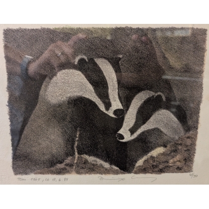Gravure "Couple de blaireaux" signée COSANDEY