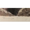 Gravure "Couple de blaireaux" signée COSANDEY