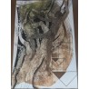 Lithograph ‘Shakespeare the Elder’ by ERNI