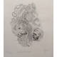 Lithographie "Beauty and the beast" signé YERSIN