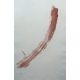Lithographie "Composition" signée TAL COAT