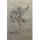 Lithographie "Fig. F" signée VELICKOVIC