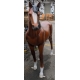Cheval brun en résine