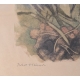 Gravure "Martin-pêcheur" signée Robert HAINARD