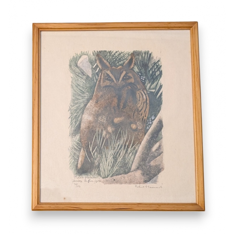 Gravure "Moyen-duc au soleil" signée HAINARD
