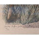 Gravure "Moyen-duc au soleil" signée HAINARD